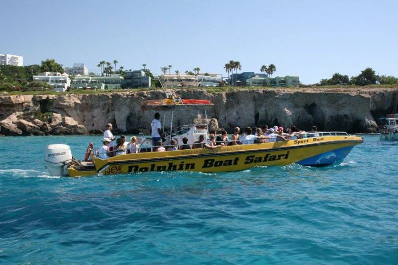 Dolphin Boat safari trip from Ayia Napa